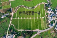 <b>涪陵江北街道二渡村获评“全国文明村镇”</b>