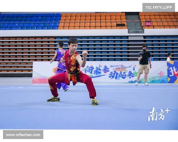 2017年武术赛事,2017年全国传统武术比赛