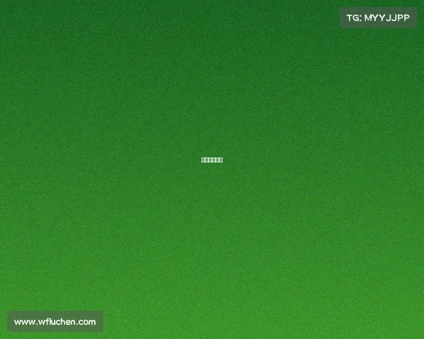 德甲不败夺冠 德甲不败夺冠